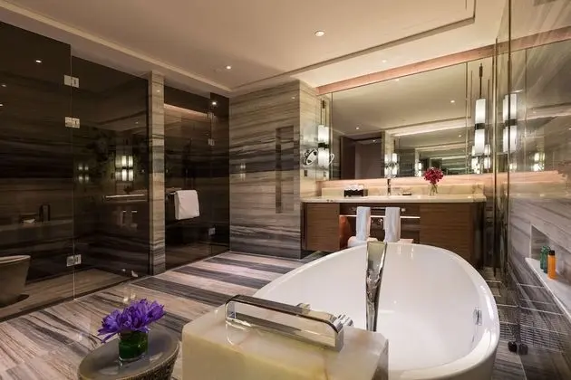 Executive Oda, Business Dinlenme Salonu Kullanımı