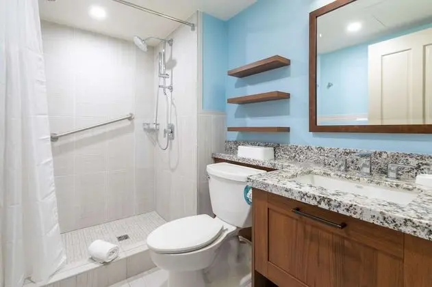 Studio Plus with King Bed