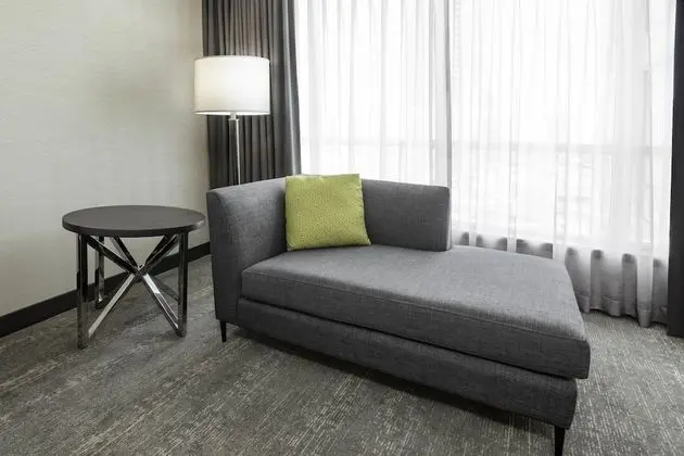 Executive Oda, 1 En Büyük (King) Boy Yatak, Business Dinlenme Salonu Kullanımı
