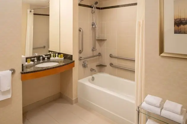 Oda, 1 En Büyük (King) Boy Yatak, Engellilere Uygun, Park Manzaralı (Bathtub)