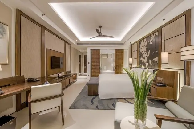 Executive Oda, 1 En Büyük (King) Boy Yatak, Kısmi Deniz Manzarası