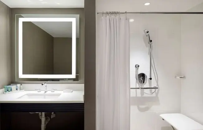 Deluxe Oda, 1 En Büyük (King) Boy Yatak, Engellilere Uygun, Şehir Manzaralı (Roll-in Shower)