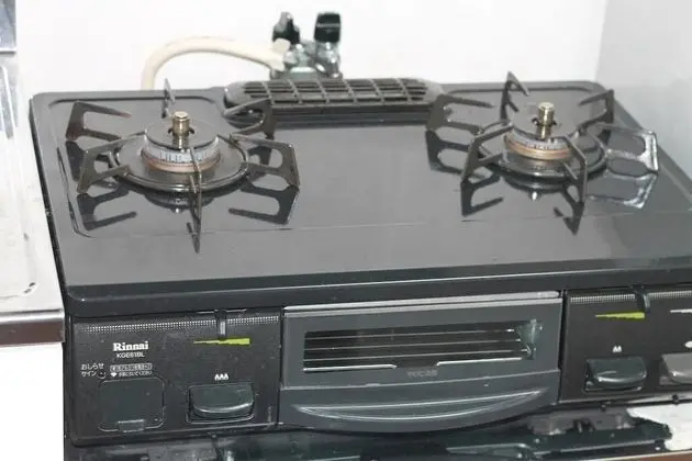 Daire, 1 Yatak Odası (202)