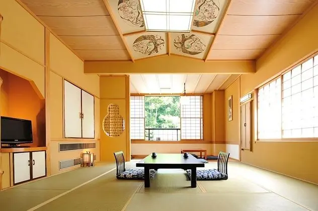 Traditional Oda, Özel Banyo (Standard Room)