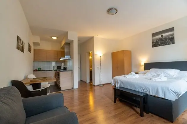 Deluxe Stüdyo, 1 Büyük (Queen) Boy Yatak, Sigara İçilmez, Şehir Manzaralı