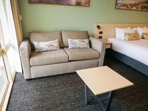 Stüdyo (King & Sofa bed)