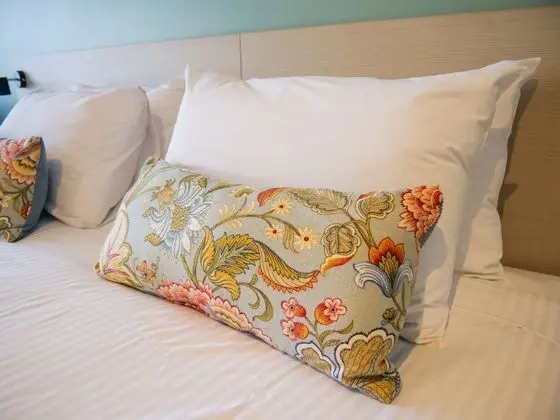 Stüdyo (King & Sofa bed)