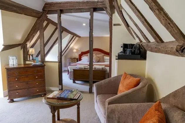 Superior Tek Büyük Yataklı Oda, 1 Çift Kişilik Yatak