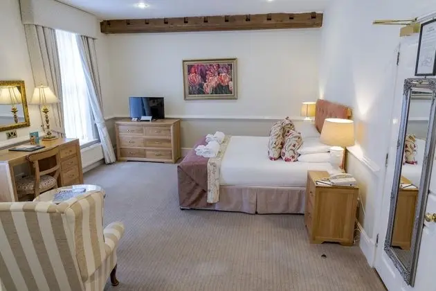 Superior Tek Büyük Yataklı Oda, 1 Çift Kişilik Yatak