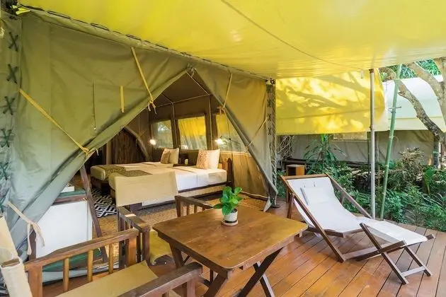 Superior Tent (Safari Dinner + Breakfast)