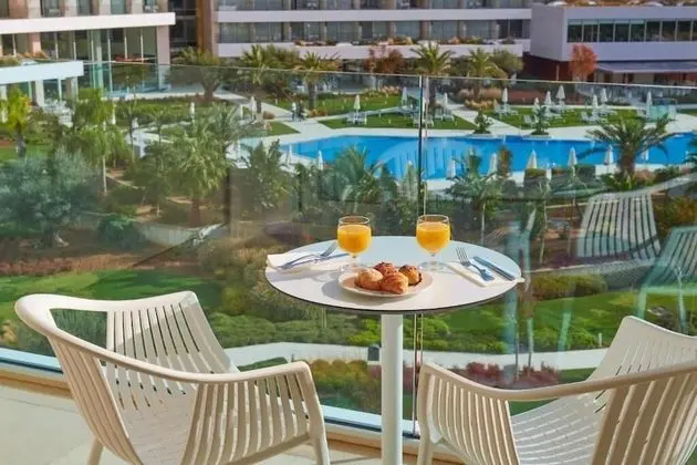 Tek Büyük Yataklı Oda, Balkon, Havuz Manzaralı