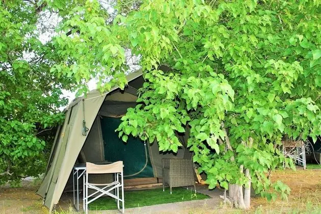 Çadır, 1 Çift Kişilik Yatak (Rhino)