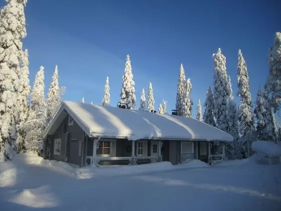 Apart Daire, 1 Yatak Odası, Sauna, Avlu Manzaralı