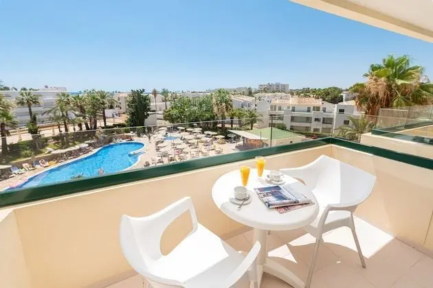 Tek Büyük Yataklı Oda, Balkon, Havuz Manzaralı