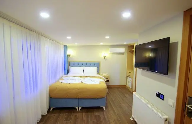 Deluxe Double or Twin Room, Park View