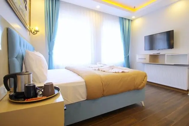 Deluxe Double or Twin Room, Park View