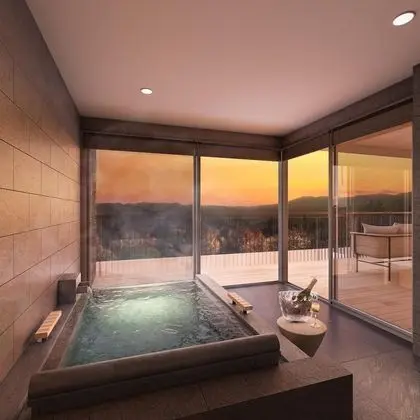 Deluxe İki Ayrı Yataklı Oda, Sigara İçilmez (Forest View, Private Hot Spring)