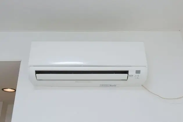 Standard Oda (203)