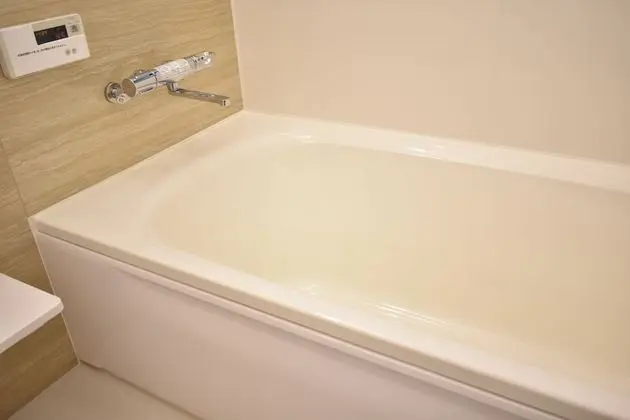 Basic Ev (Japanese Style)