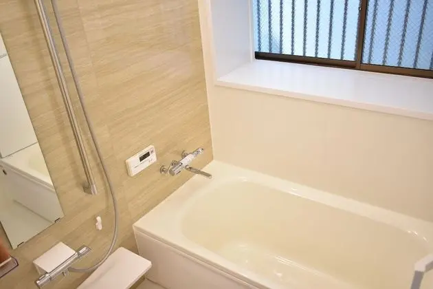 Basic Ev (Japanese Style)