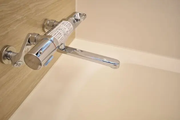 Basic Ev (Japanese Style)