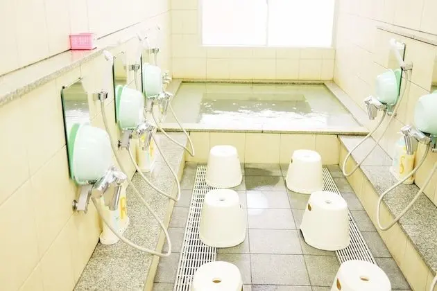 Traditional Oda, Japon Şiltesi, Ortak Banyo (28 square meters)