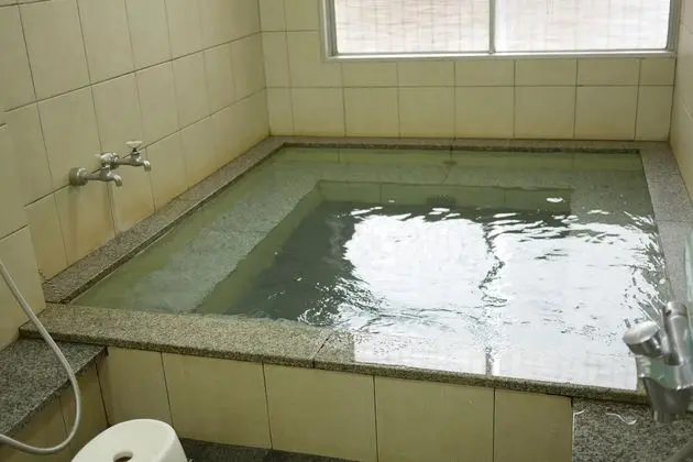 Traditional Oda, Japon Şiltesi, Ortak Banyo (28 square meters)
