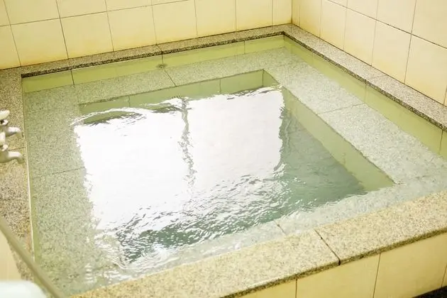 Traditional Oda, Japon Şiltesi, Sigara İçilebilir, Ortak Banyo (9 square meters)