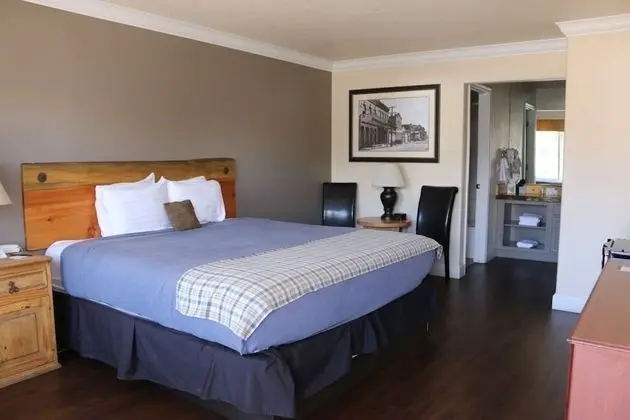 Standard Oda, 1 En Büyük (King) Boy Yatak, Dağ Manzaralı (Shared Balcony No Pets)