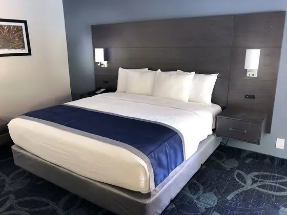 1 King Bed with Balcony
