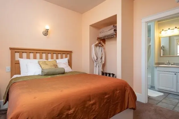Deluxe Oda, 1 Büyük (Queen) Boy Yatak (Premium Room)