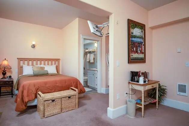 Deluxe Oda, 1 Çift Kişilik Yatak (Classic Room)