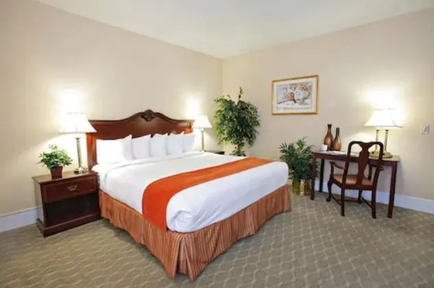 Standard Oda, 1 En Büyük (King) Boy Yatak