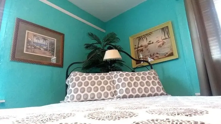 Standard Tek Kişilik Oda, 1 Büyük (Queen) Boy Yatak (Florida)