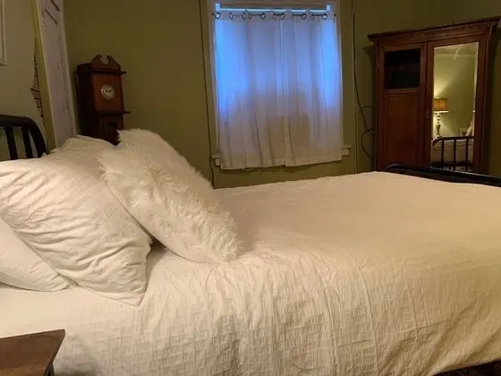 Standard Tek Kişilik Oda (Old Home Place Suite)