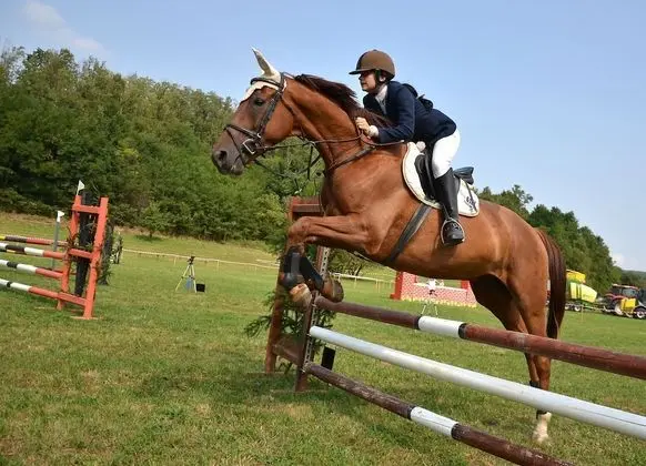 Villa, Birden Çok Yatak Odası, Şömine