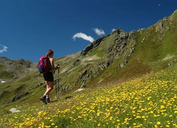 Villa, Birden Çok Yatak Odası, Şömine