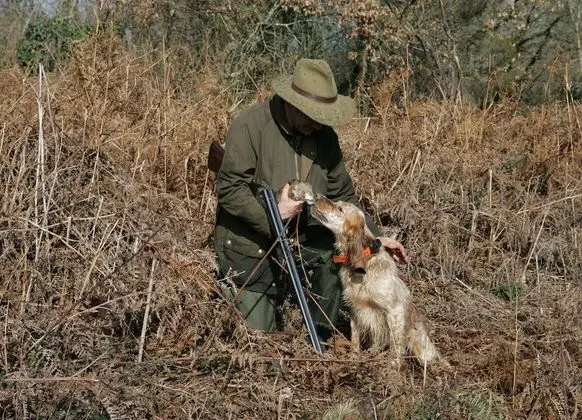 Villa, Birden Çok Yatak Odası, Şömine