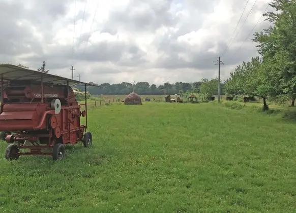 Villa, Birden Çok Yatak Odası, Şömine