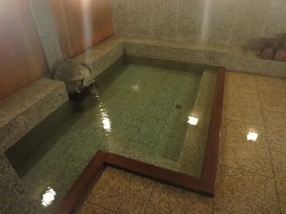 Bir Japon Şilteli, Sigara İçilmeyen
