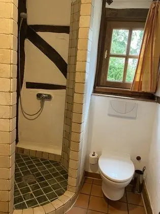 Süit