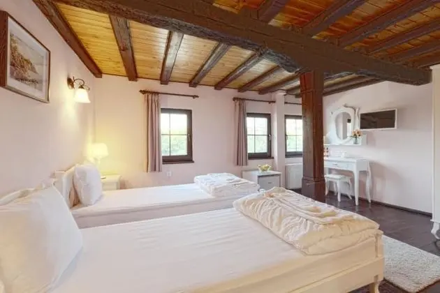 G-Elite Double or Twin Room, River View
