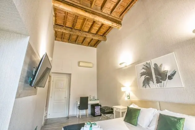 Superior Tek Büyük Yataklı Oda, Sigara İçilmez