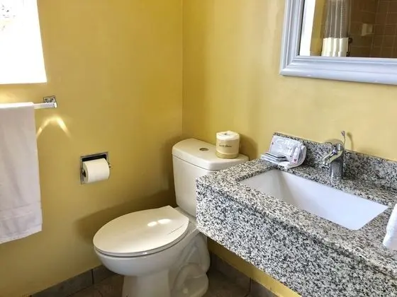 Basic Stüdyo, 1 En Büyük (King) Boy Yatak, Mutfak