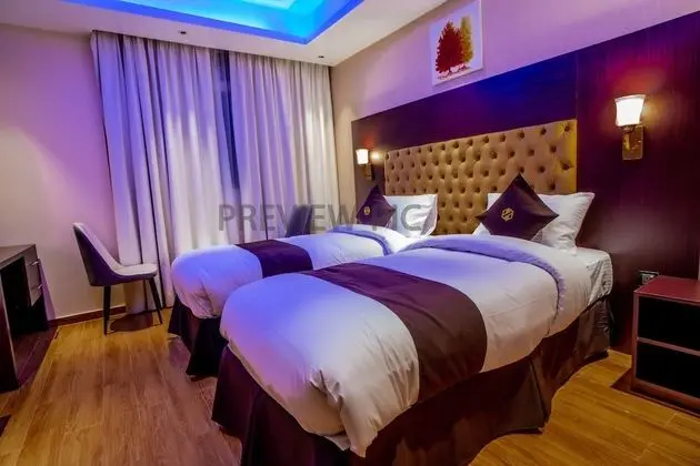 Deluxe Tek Büyük veya İki Ayrı Yataklı Oda