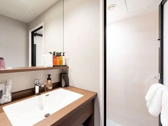 Superior Tek Büyük Yataklı Oda, Sigara İçilmez (Momiji Building,  Private Shower Room)