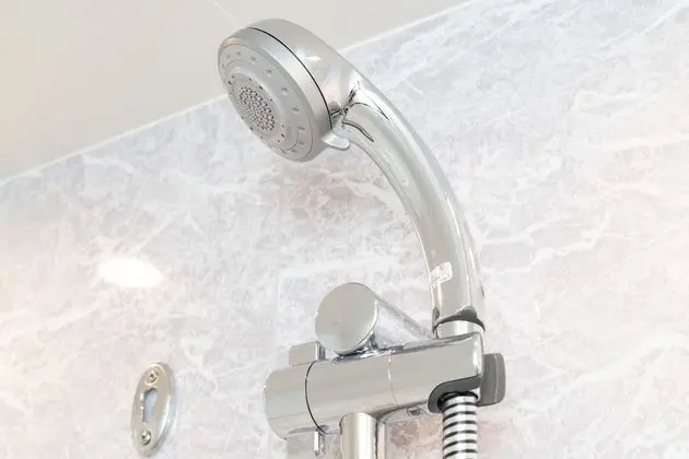 Tek Büyük Yataklı Oda, Sigara İçilmez (Moderate, Momiji, Private Shower Room)