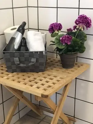 Apart Daire, 1 Yatak Odası, Teras