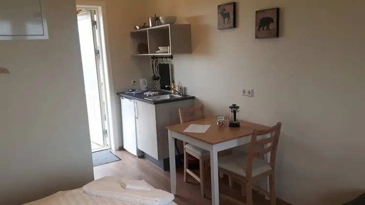 Standard Stüdyo, 2 Tek Kişilik Yatak, Dağ Manzaralı