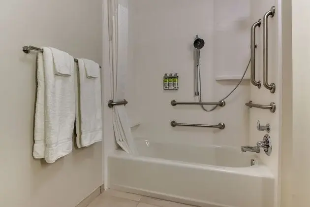 Standard Oda, 2 Büyük (Queen) Boy Yatak, Engellilere Uygun (Mobility, Accessible Tub)
